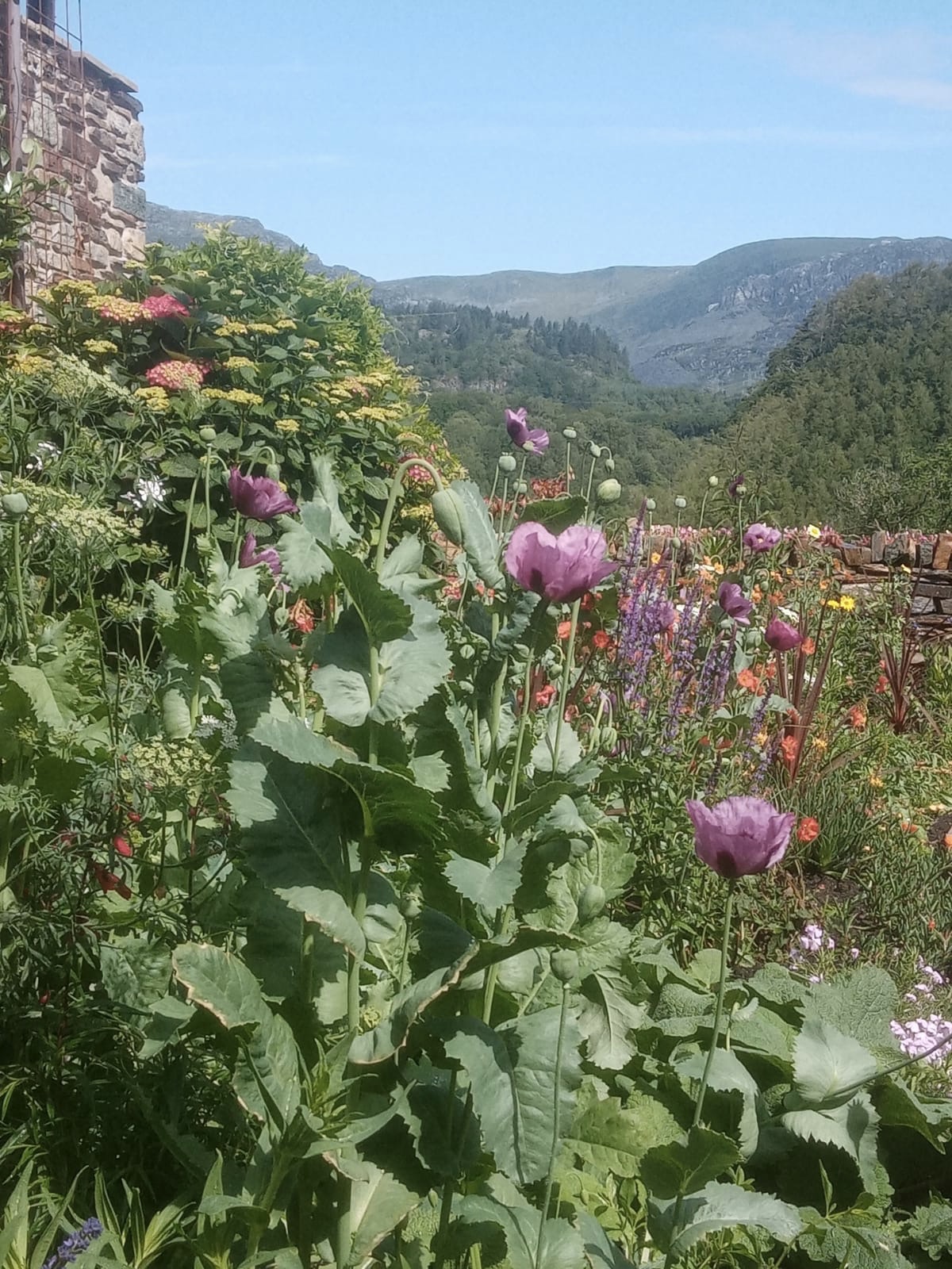 baf5ec71-0be1-44bd-bf7e-d434740d8a16